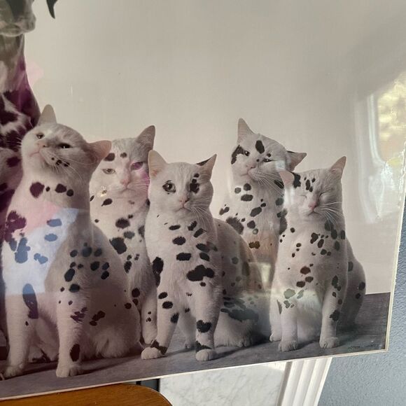 1991 Bybee/SF Dalmatian Cat Poster In A World Full of Copycats Be An Original - Picture 6 of 15
